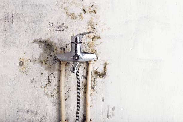 Best Preventive Mold Services in Bolivar Peninsula, TX