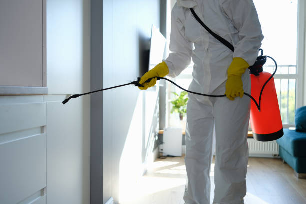 Best HVAC Mold Remediation in Bolivar Peninsula, TX